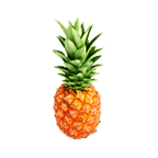 Pineapple Tours Logo