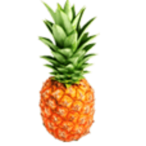 Pineapple Tours Logo